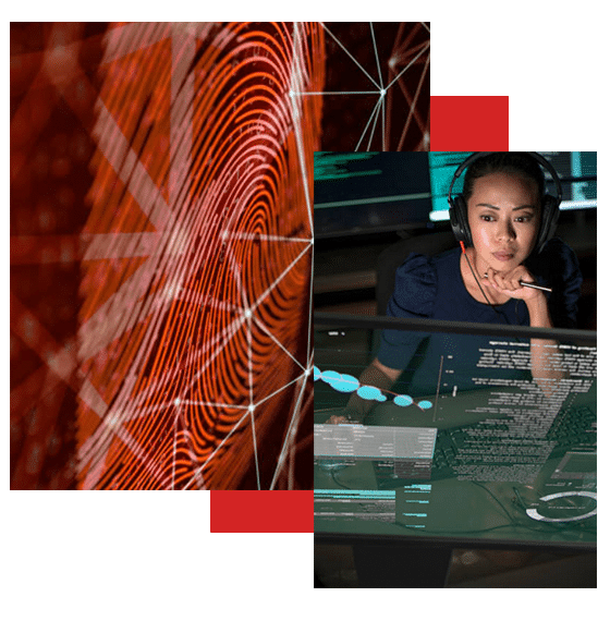 Crypto Investigators